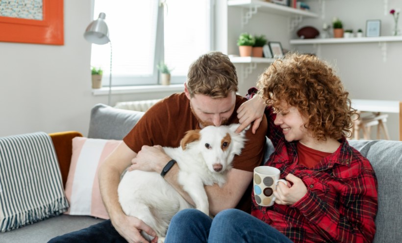 Woman and man cuddling with dog on couch